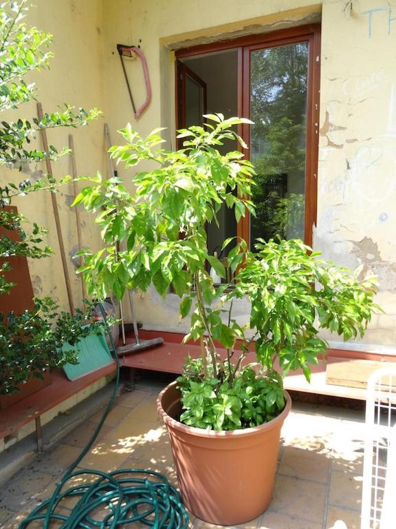Garden Apartment On Art Nouveau Street In Central 프라하 외부 사진